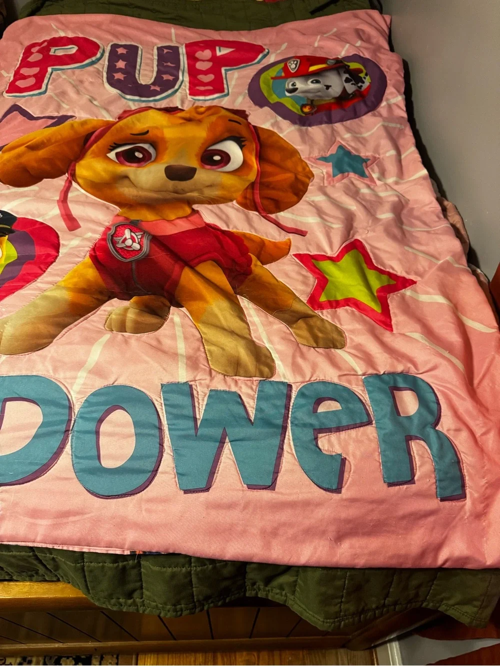 Paw Patrol Toddler Bed Blanket Only “Pup Power”  Pink Graphic Design Lightweight
